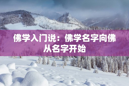 佛学入门说：佛学名字向佛从名字开始