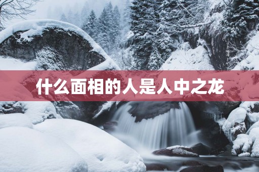 什么面相的人是人中之龙
