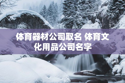 体育器材公司取名 体育文化用品公司名字
