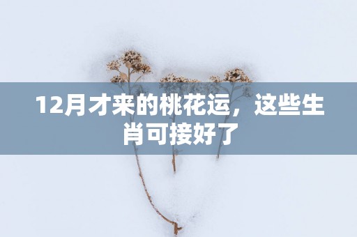 12月才来的桃花运，这些生肖可接好了
