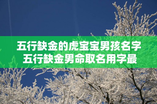 五行缺金的虎宝宝男孩名字 五行缺金男命取名用字最佳选择