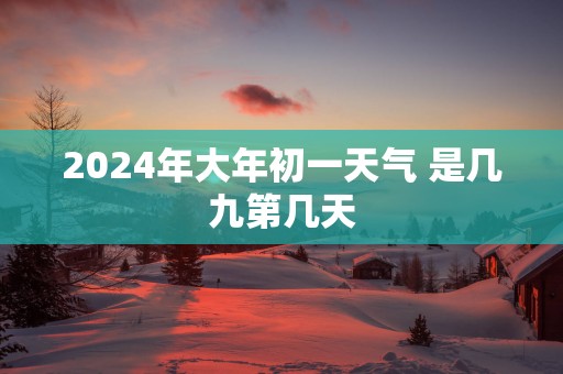 2025年大年初一天气 是几九第几天