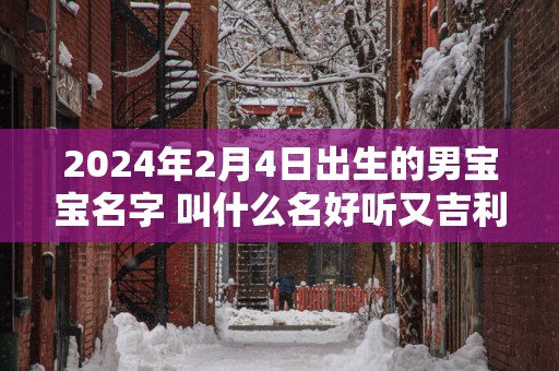 2025年2月4日出生的男宝宝名字 叫什么名好听又吉利