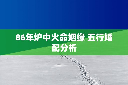 86年炉中火命姻缘 五行婚配分析