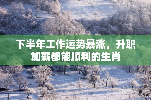下半年工作运势暴涨，升职加薪都能顺利的生肖