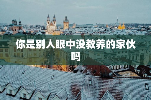 你是别人眼中没教养的家伙吗