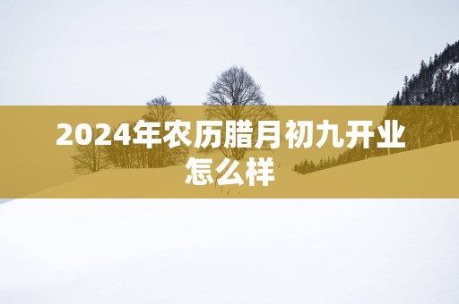 2025年农历腊月初九开业怎么样