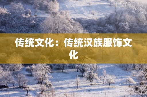 传统文化：传统汉族服饰文化