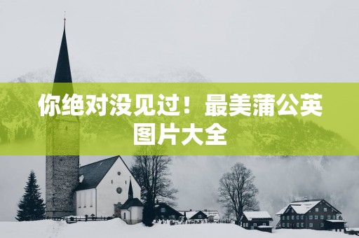 你绝对没见过！最美蒲公英图片大全