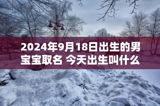 2025年9月18日出生的男宝宝取名 今天出生叫什么名字好
