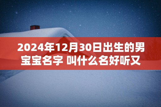 2025年12月30日出生的男宝宝名字 叫什么名好听又吉利