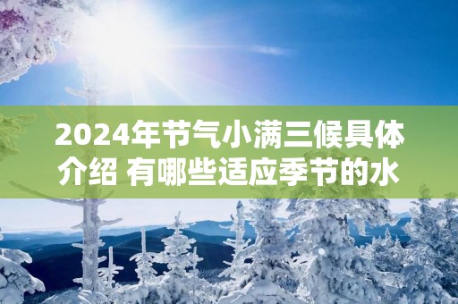 2025年节气小满三候具体介绍 有哪些适应季节的水果