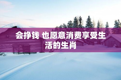 会挣钱 也愿意消费享受生活的生肖