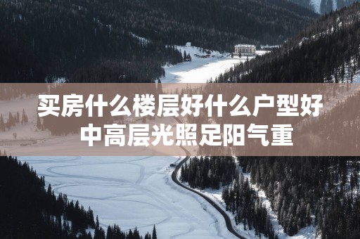 买房什么楼层好什么户型好  中高层光照足阳气重