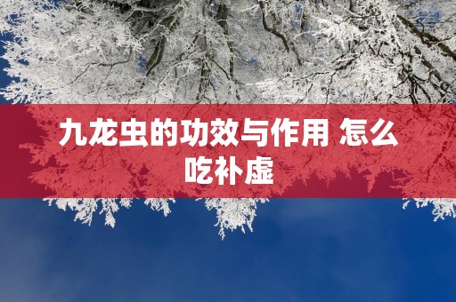 九龙虫的功效与作用 怎么吃补虚