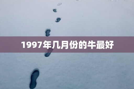 1997年几月份的牛最好