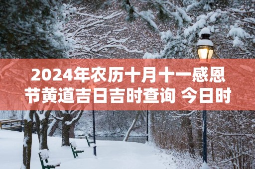 2025年农历十月十一感恩节黄道吉日吉时查询 今日时辰吉凶详解