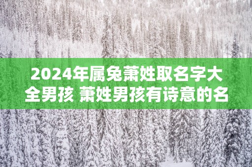 2025年属兔萧姓取名字大全男孩 萧姓男孩有诗意的名字