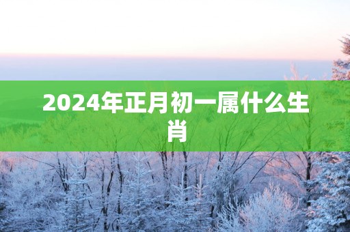 2024年正月初一属什么生肖