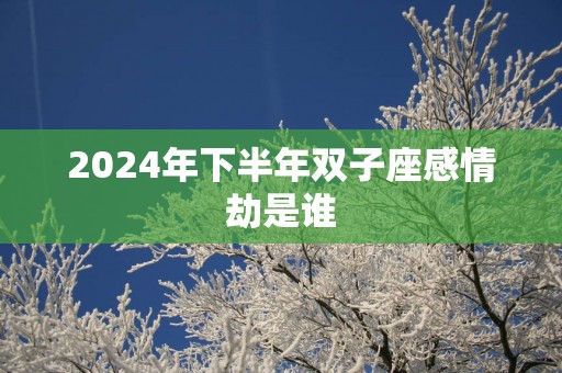 2025年下半年双子座感情劫是谁