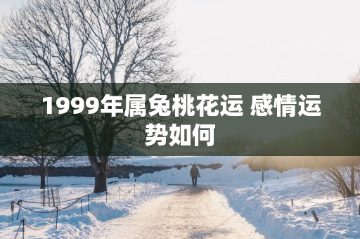 1999年属兔桃花运 感情运势如何