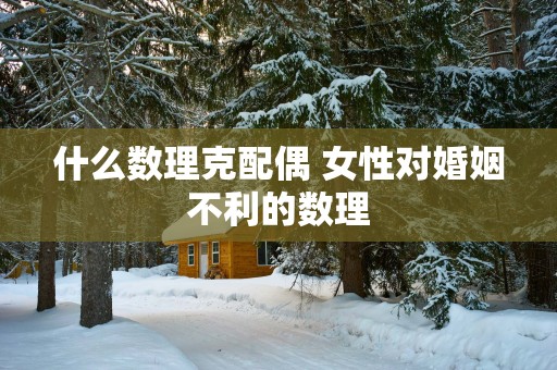 什么数理克配偶 女性对婚姻不利的数理