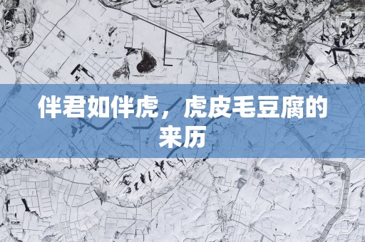 伴君如伴虎，虎皮毛豆腐的来历