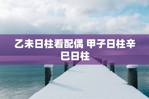 乙未日柱看配偶 甲子日柱辛巳日柱