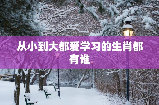 从小到大都爱学习的生肖都有谁