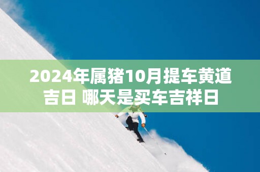 2025年属猪10月提车黄道吉日 哪天是买车吉祥日