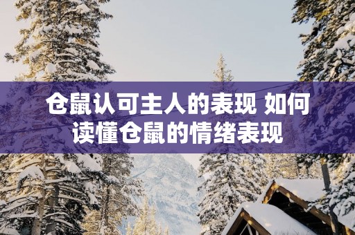 仓鼠认可主人的表现 如何读懂仓鼠的情绪表现