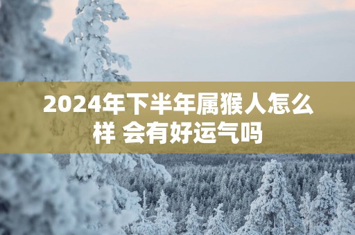 2025年下半年属猴人怎么样 会有好运气吗
