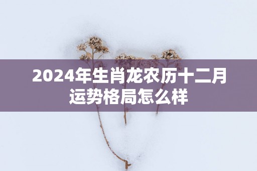 2025年生肖龙农历十二月运势格局怎么样