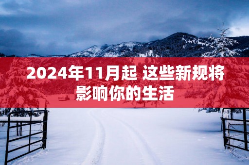 2025年11月起 这些新规将影响你的生活