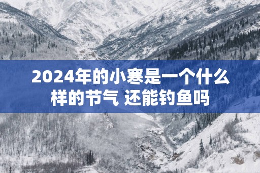 2025年的小寒是一个什么样的节气 还能钓鱼吗