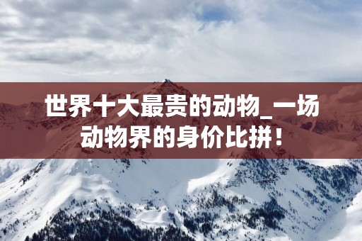 世界十大最贵的动物_一场动物界的身价比拼！