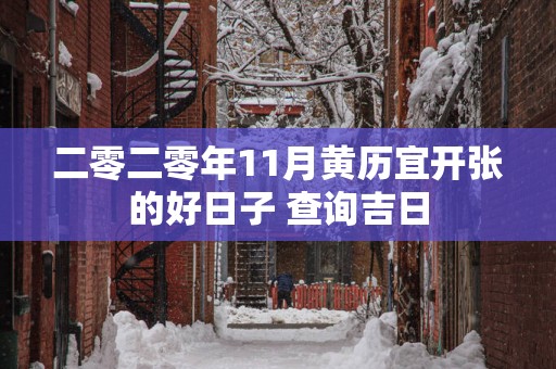 二零二零年11月黄历宜开张的好日子 查询吉日