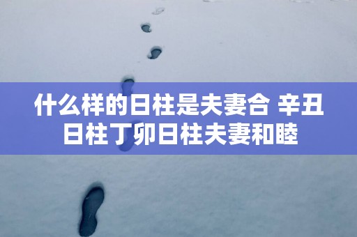 什么样的日柱是夫妻合 辛丑日柱丁卯日柱夫妻和睦