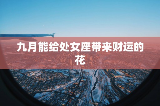 九月能给处女座带来财运的花