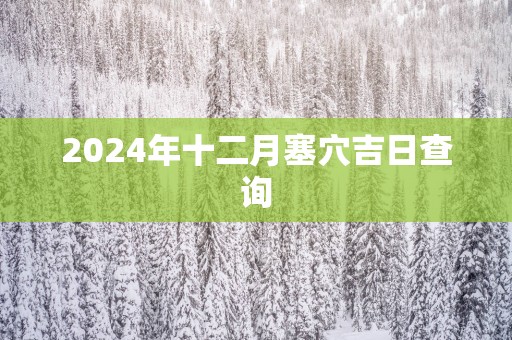 2025年十二月塞穴吉日查询