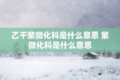 乙干紫微化科是什么意思 紫微化科是什么意思