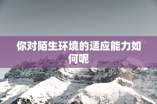 你对陌生环境的适应能力如何呢