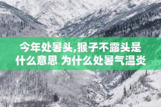 今年处暑头,猴子不露头是什么意思 为什么处暑气温炎热