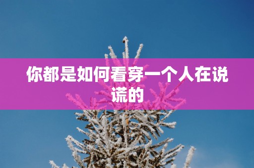 你都是如何看穿一个人在说谎的