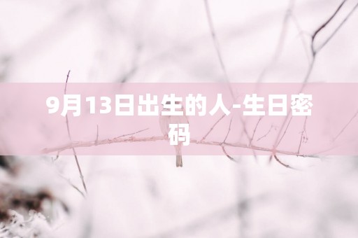9月13日出生的人-生日密码