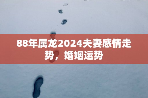 88年属龙2025夫妻感情走势，婚姻运势