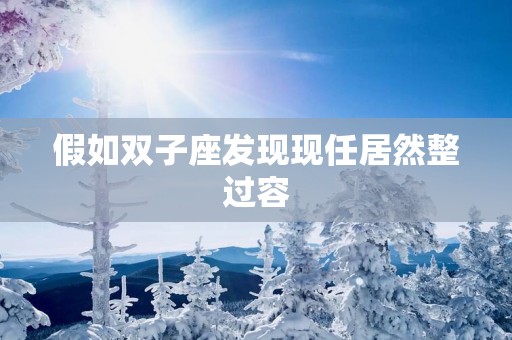 假如双子座发现现任居然整过容
