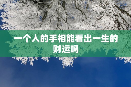 一个人的手相能看出一生的财运吗