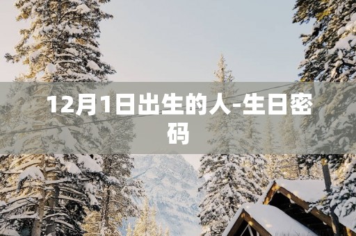 12月1日出生的人-生日密码