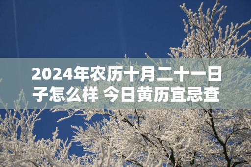 2025年农历十月二十一日子怎么样 今日黄历宜忌查询